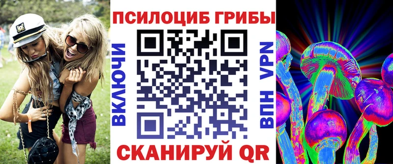 купить наркотик  Спас-Клепики  Галлюциногенные грибы Magic Shrooms 
